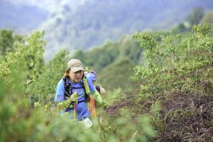 BIB: 
                            <button type="button" onclick="openModal(24764352)" class="btn btn-primary btn-sm float-right btn-popup" data-toggle="modal" data-target=".modal-high-quality">
                        <i class="fas fa-shopping-cart"></i> Add to Cart
                    </button>
                                            <button type="button" onclick="isThisMe(24764352, true)" class="btn btn-success btn-sm float-right btn-popup btn-isme hidden" data-toggle="tooltip" data-placement="bottom" title="นี่คือรูปของคุณใช่ไหม คลิกที่นี่เพื่อเอาเข้าอัลบั้ม">
                        <i class="fas fa-plus"></i> Add to album
                    </button>
                    <button type="button" onclick="isThisMe(24764352, false)" class="btn btn-warning btn-sm float-right btn-popup btn-isnotme hidden">
                        <i class="fas fa-ban"></i> Remove from album
                    </button>